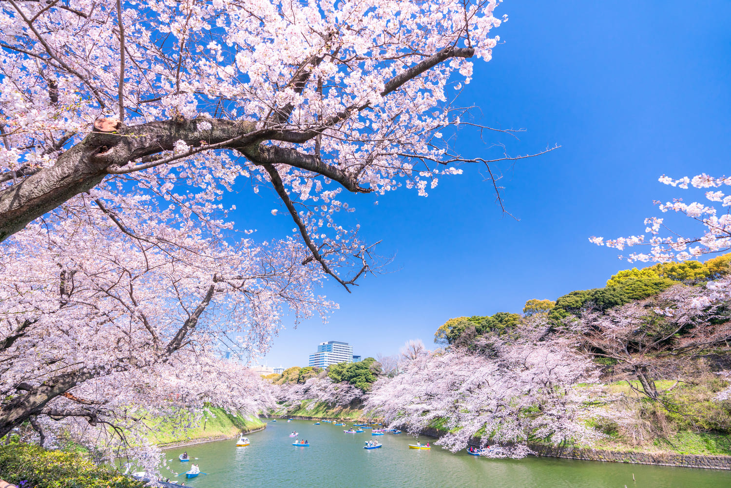 東京都千代田区