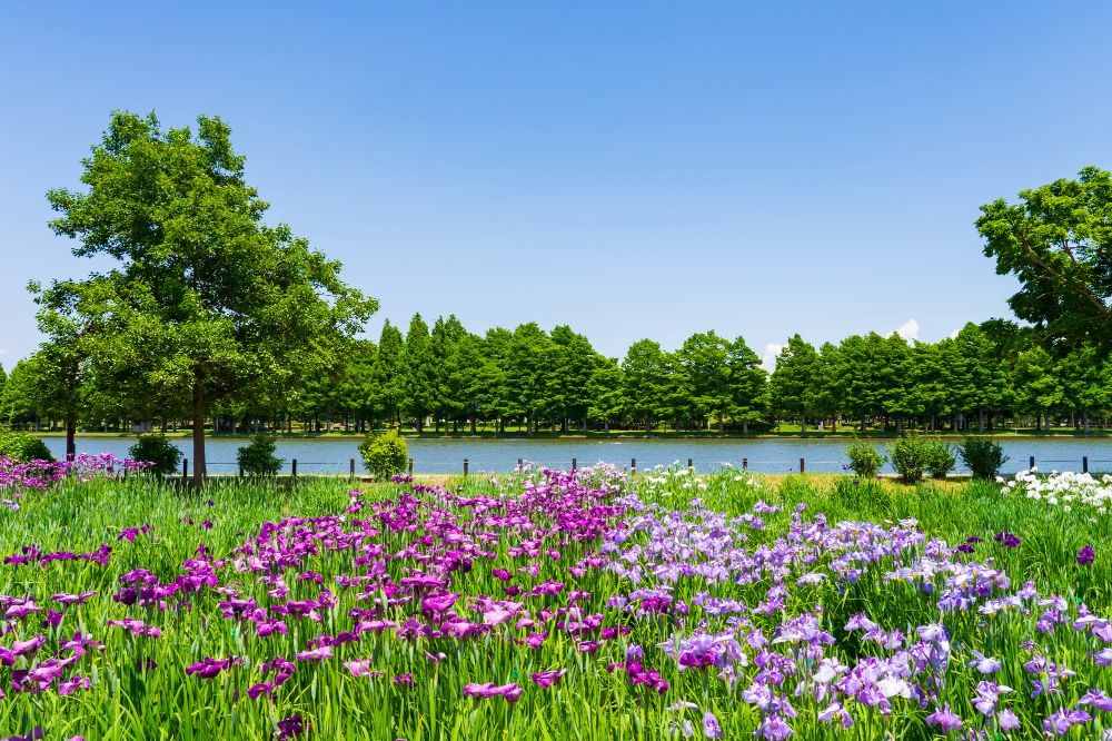 東京都葛飾区