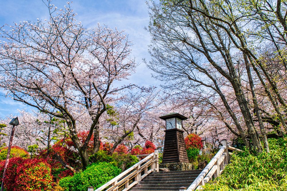 東京都北区