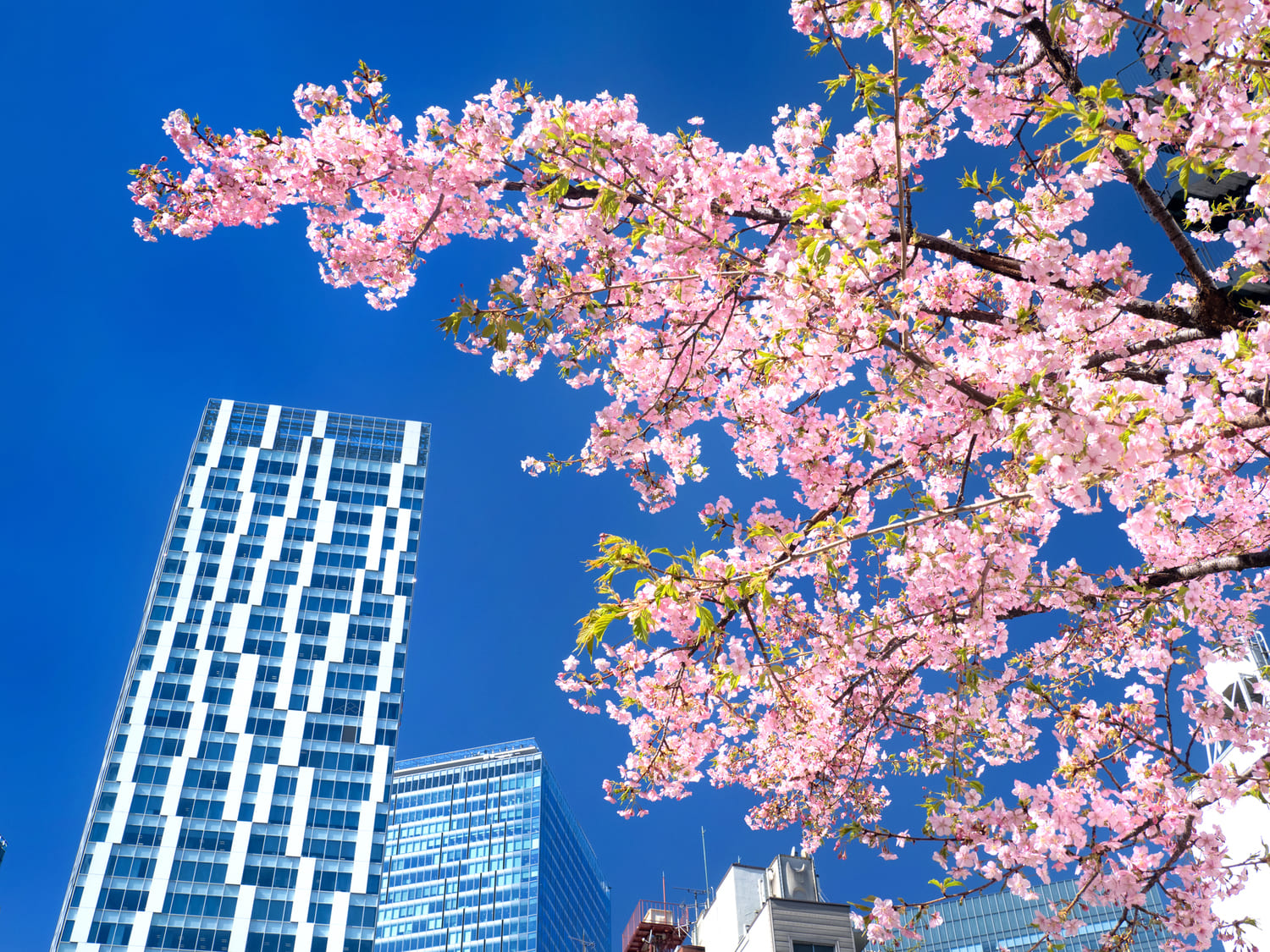 東京都渋谷区