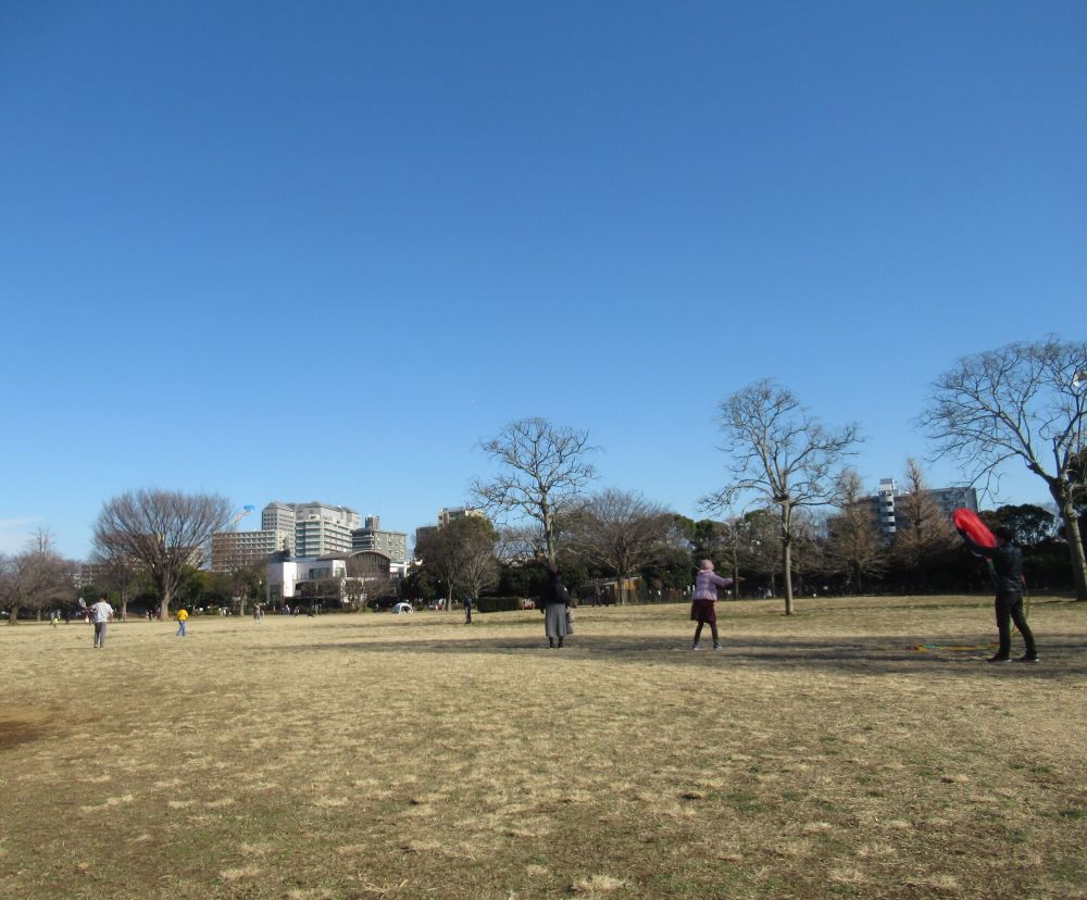 東京都菊川駅